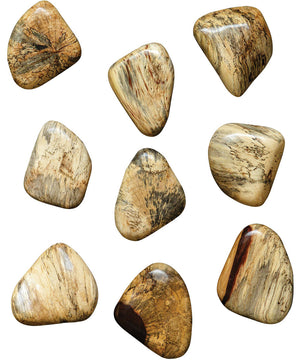 Pebbles Blonde Wood Wall Décor, Set of 9