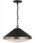 Polaris 1-Light Pendant Aged Brass and Black