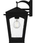 Huck Medium 1-light Outdoor Wall Light  Coastal Armour Aluminum Earth Black