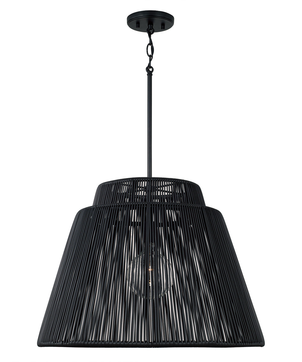 Jasper 1-Light Outdoor Hanging-Lantern Oynx and Black