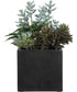 Greystone Indoor-Outdoor Succulent