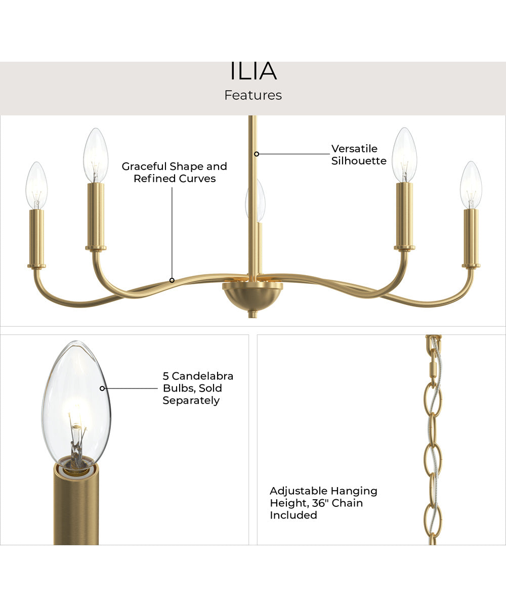 Ilia 5-Light Chandelier Brushed Gold