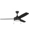 Ceiling Fans with Remotes