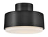 Cedric 2-Light Small Semi-Flush Mount in Black