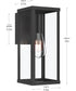 Ryle 1-Light Medium Wall Lantern with Clear Glass Panels Matte Black