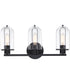 Skylar 3 Light Vanity Matte Black