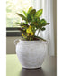 Meadie Vase Distressed White