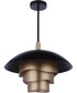 Sculptural Statement Pendants 1-Light Lighting Flat Black/Matte Gold