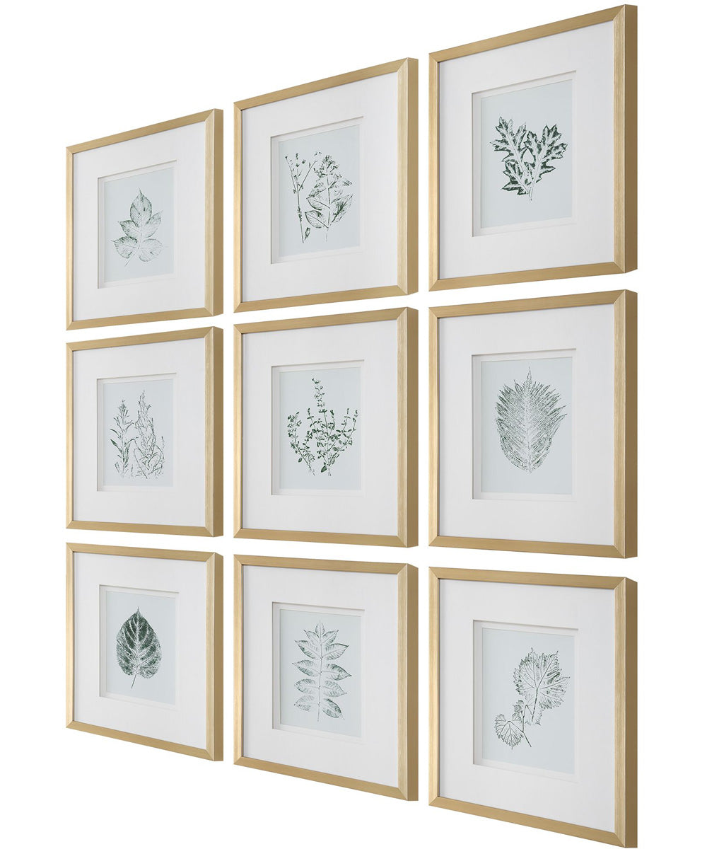 Nature's Script Framed Botanical Prints Set/9