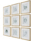 Nature's Script Framed Botanical Prints Set/9