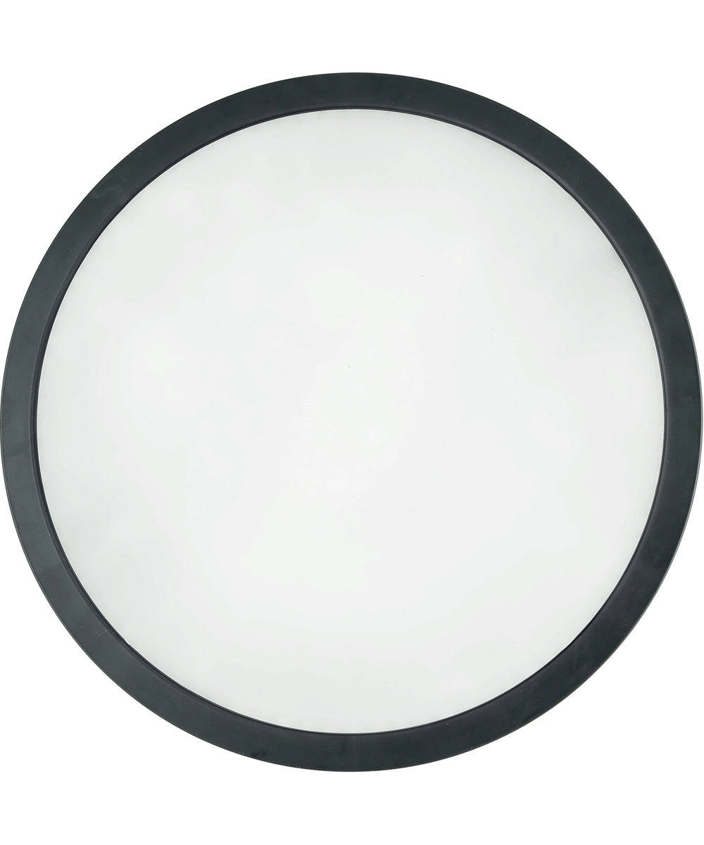 Slim Line II 1-Light Lighting Flat Black