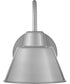Wes 1-Light Small Gooseneck Barn Light in Antique Brushed Aluminum