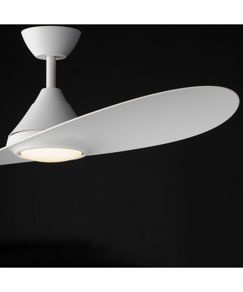 Surf 56 inch 2-Blade Marine Grade Fan w LED Matte White