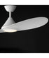 Surf 56 inch 2-Blade Marine Grade Fan w LED Matte White