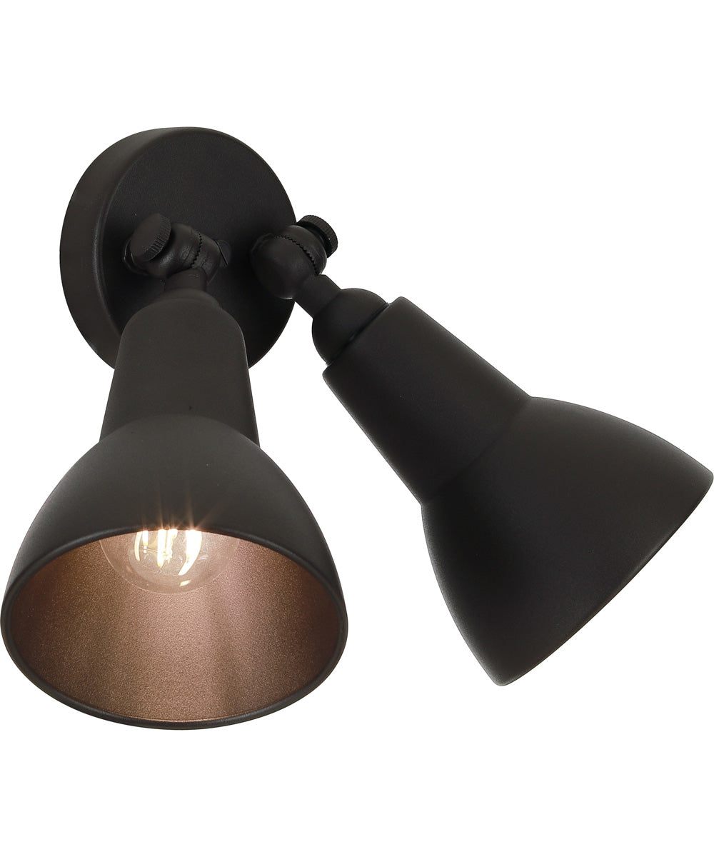 Flood Light 2-Light Outdoor Lighting Dark Textured Bronze