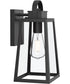 Hedry Medium Outdoor Wall Lantern with Clear Glass Panels Matte Black