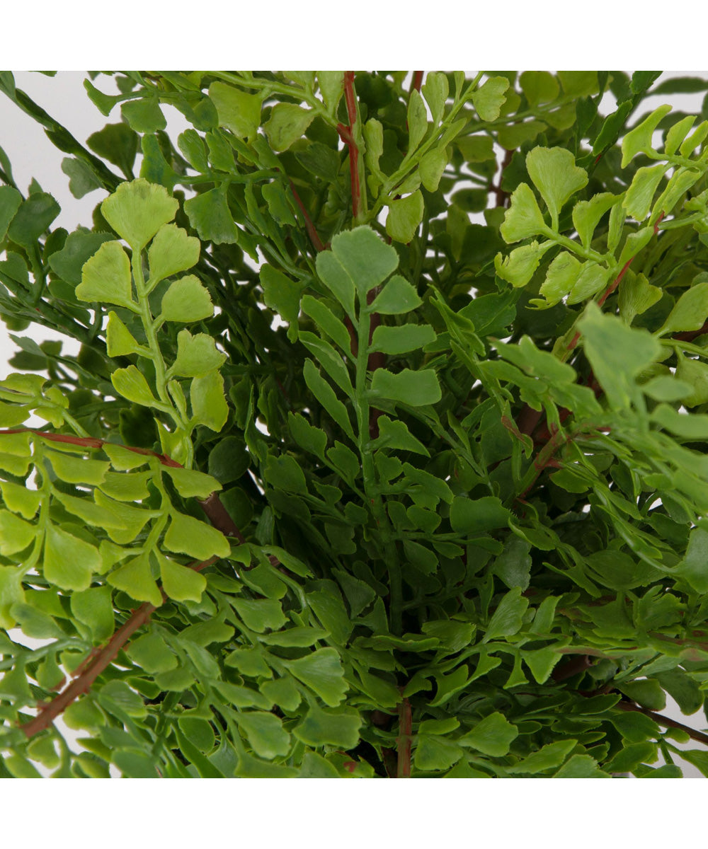 Maidenhair Fern In Oxidized Container