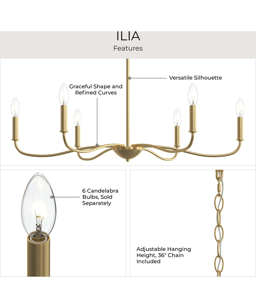 Ilia 6-Light Large Chandelier Brushed Gold