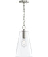 Jheni 1-Light Pendant with Clear Glass Shade Brushed Nickel