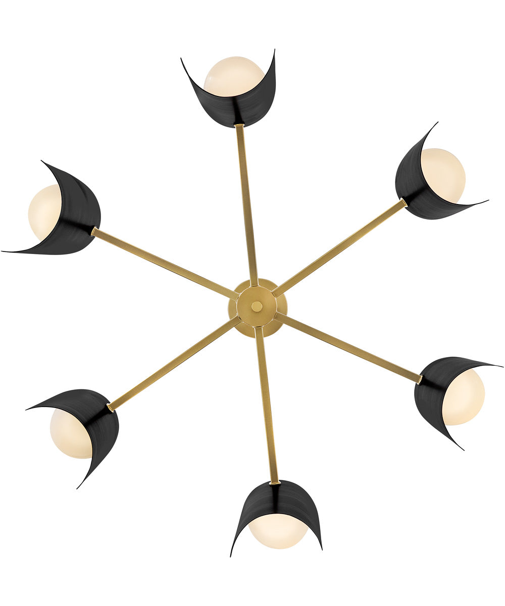 Zuri 6-Light Medium Single Tier in Lacquered Brass