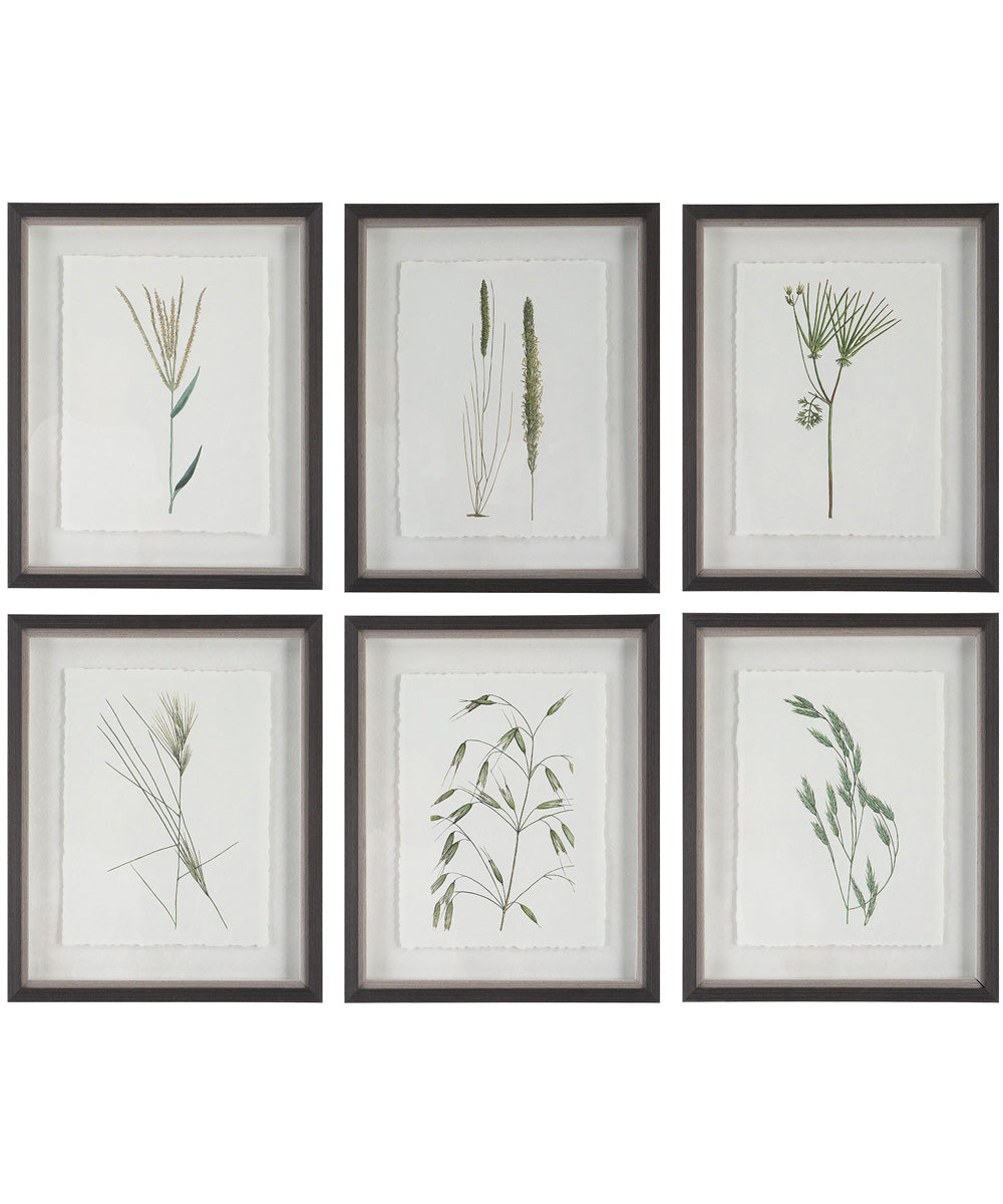 Forest Finds Framed Prints, Set of 6