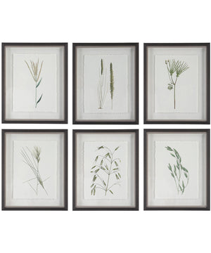 Forest Finds Framed Prints, Set of 6