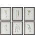 Forest Finds Framed Prints, Set of 6