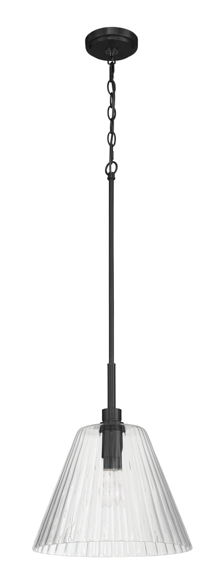 Pleated 1-Light Lighting Flat Black