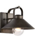 Ridge 1-Light Outdoor Bronze