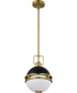 Everton 1-Light Pendant Matte Black