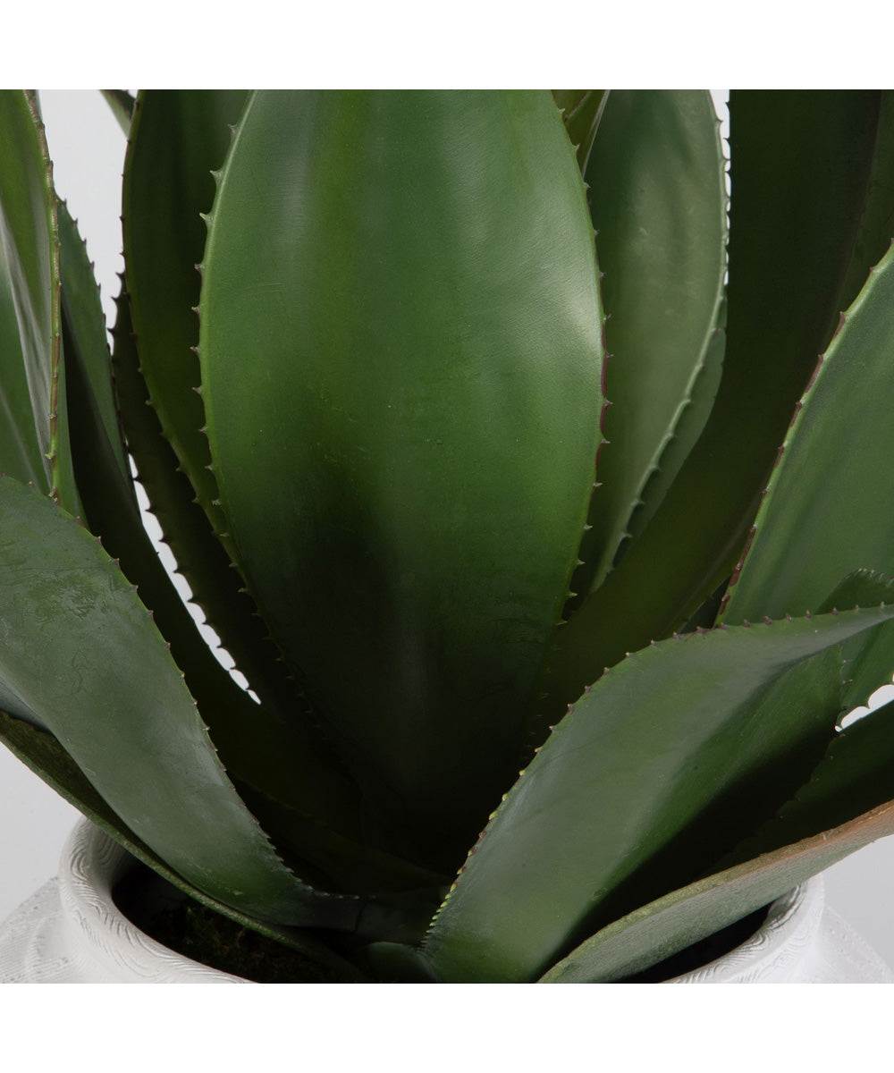 Tierra Agave Centerpiece With Vase