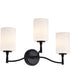 Liam 3-Light Vanity & Wall Matte Black