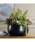 Mico Indoor-Outdoor Succulent Centerpiece