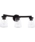 Aaron 3-Light Vanity Matte Black