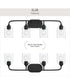 Ilia 4-Light Bath Vanity with Clear Glass Shade Matte Black