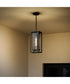 Shaw 17 Inch 1 Light Outdoor Pendant with Clear Glass Textured Black