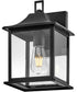 Nolan 1-Light Small Wall Mount Lantern in Black
