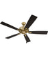 Eos Fan Satin Brass