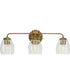 Quillan 3-Light Transitional Bath & Vanity Light Gold Ombre