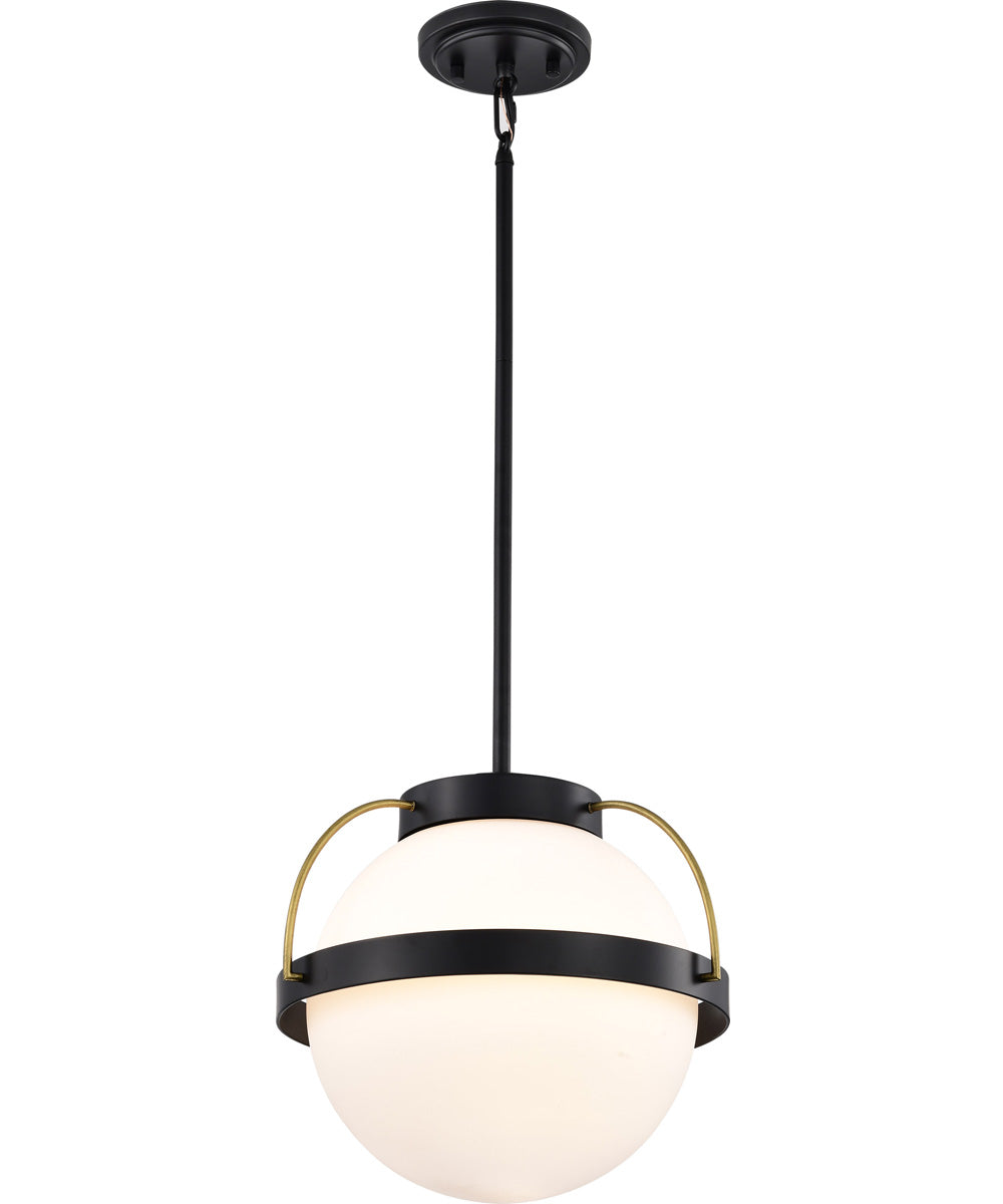 Lakeshore 1-Light Pendant Matte Black