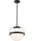 Lakeshore 1-Light Pendant Matte Black