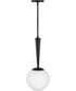 Izzy 1-Light Small Pendant in Black