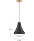 Haddie 1-Light Small Pendant in Black