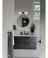Roselle 2-Light Vanity & Wall Matte Black