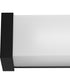 Phase 6.1 24 in. 5CCT Integrated LED Linear Vanity Light Black