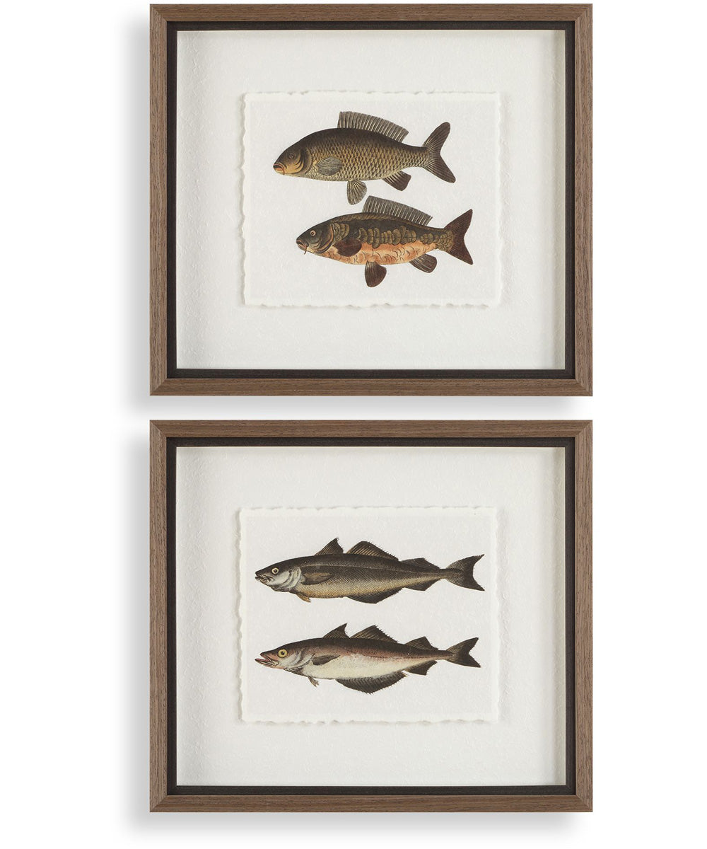 The Catch Framed Fish Prints Set of 2