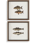 framed art
