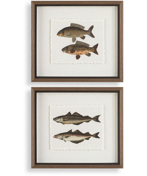 The Catch Framed Fish Prints Set of 2
