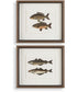 The Catch Framed Fish Prints Set of 2