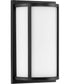 Parkhurst 2-Light Etched Glass New Traditional Wall Sconce Matte Black